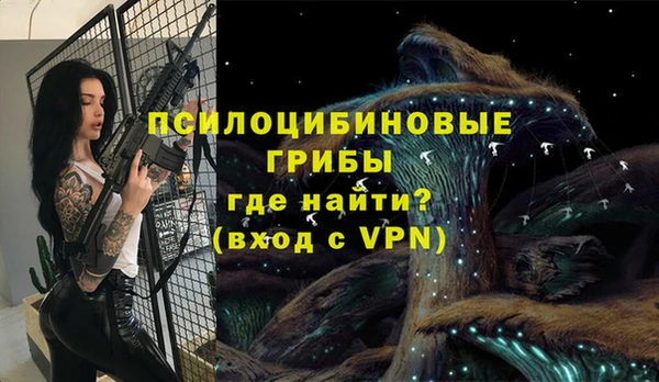 apvp Балабаново