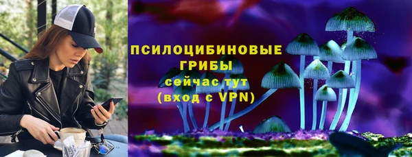 apvp Балабаново