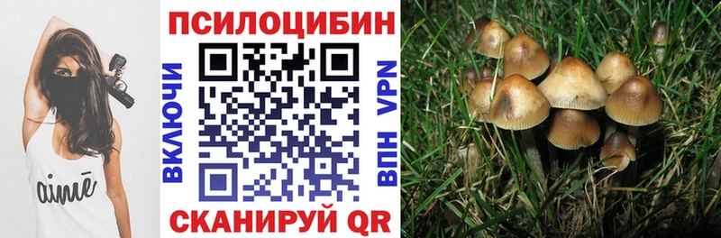 Псилоцибиновые грибы прущие грибы  Костерёво 